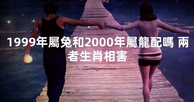 1999年屬兔和2000年屬龍配嗎 兩者生肖相害